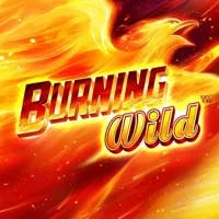 greentube-Burning-WILD-slot