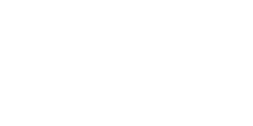 Swintt Logo
