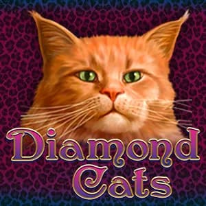 Diamond Cats