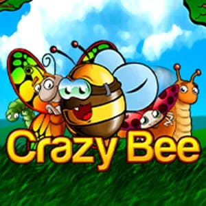 Crazy Bee